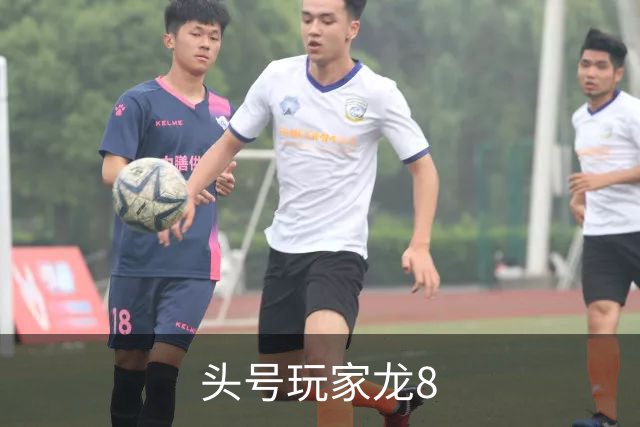 头号玩家龙8公司介绍展示图